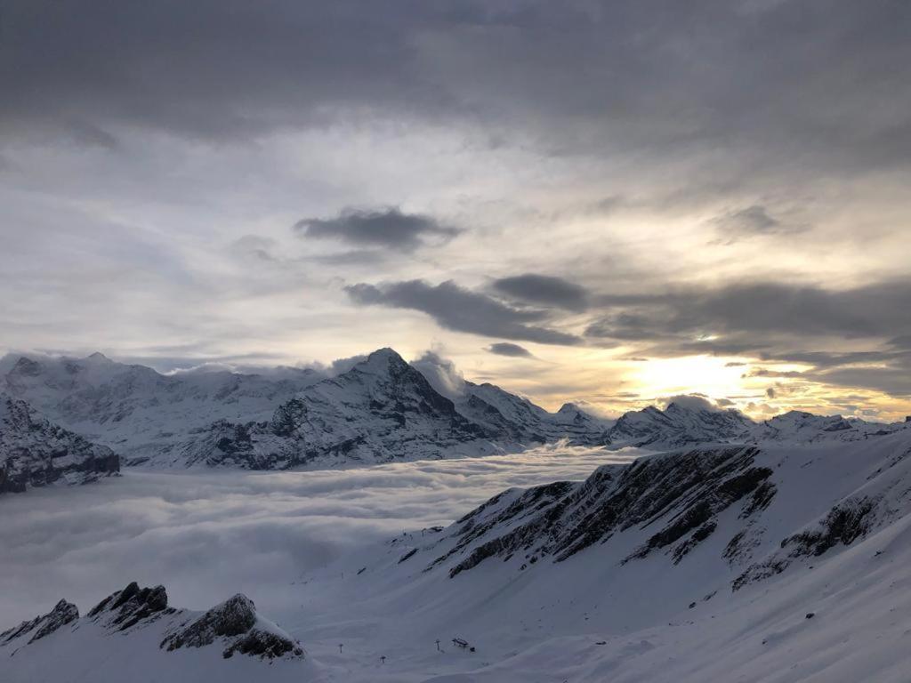 Chalet Caramelle Grindelwald Exteriör bild