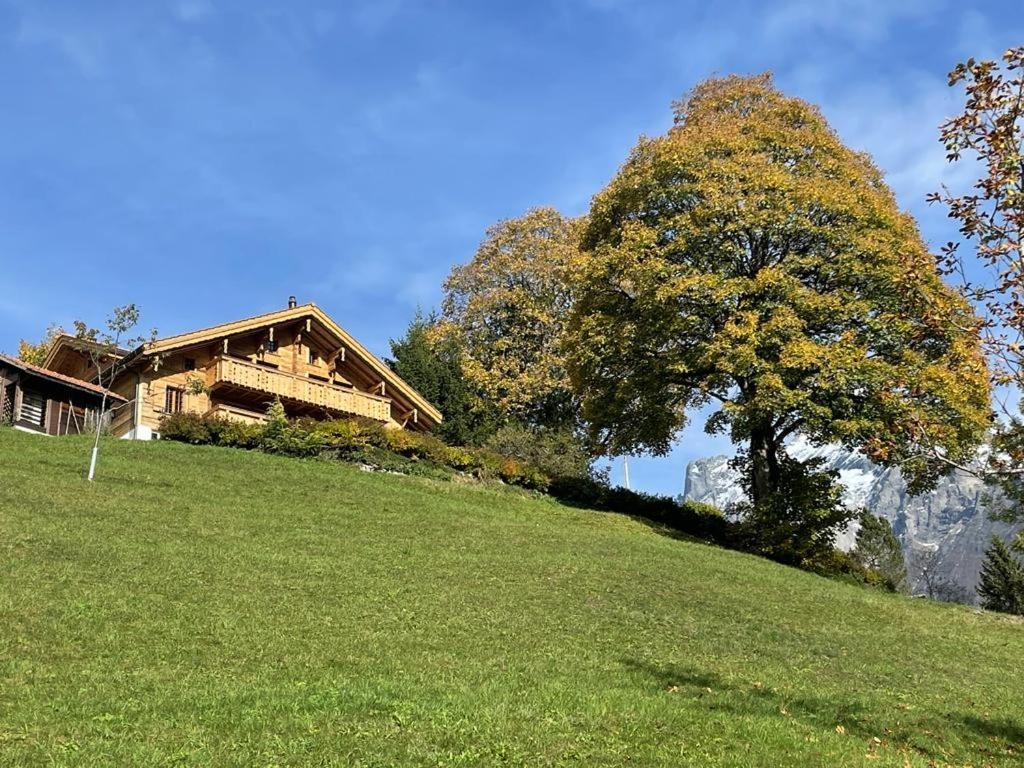 Chalet Caramelle Grindelwald Exteriör bild