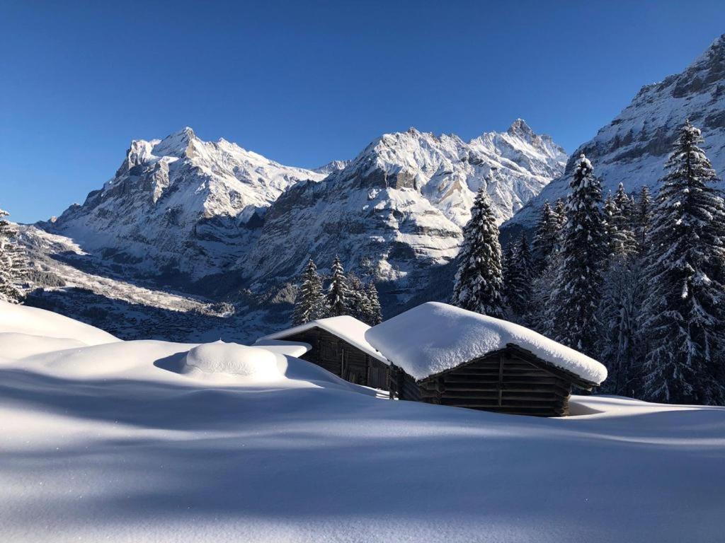 Chalet Caramelle Grindelwald Exteriör bild