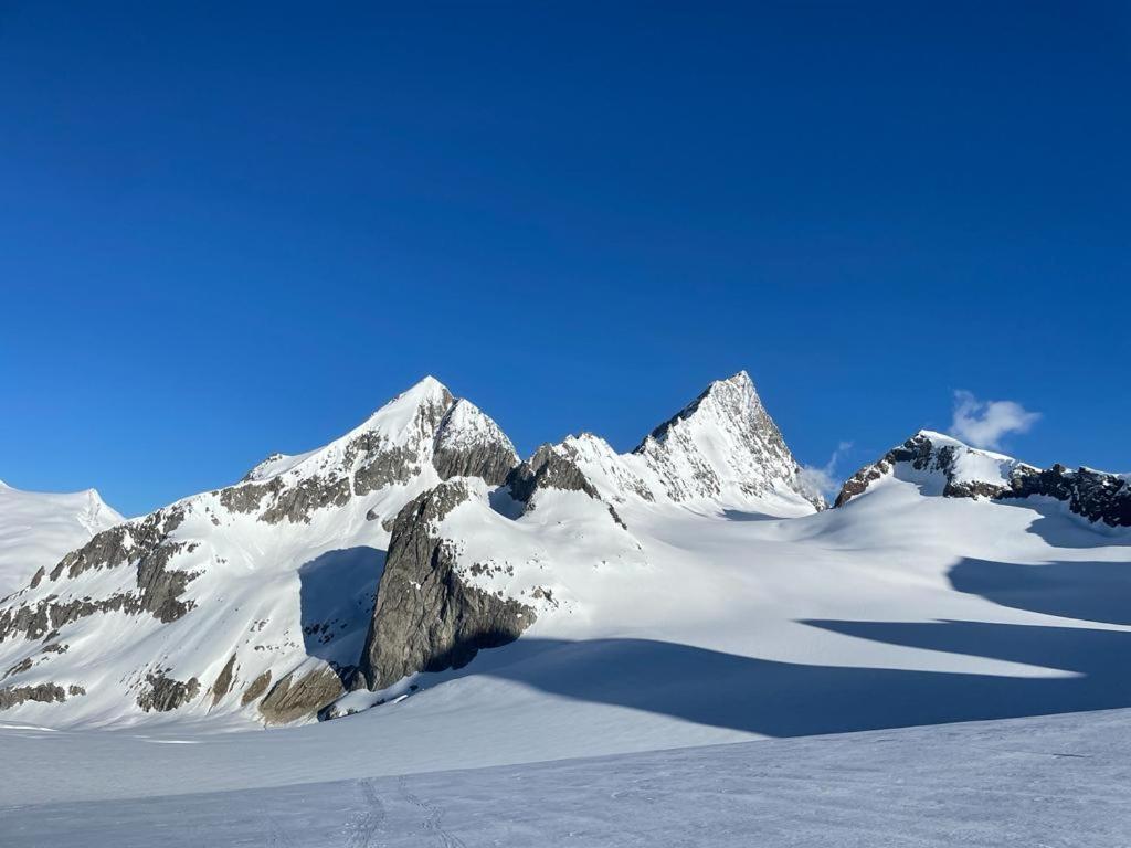 Chalet Caramelle Grindelwald Exteriör bild